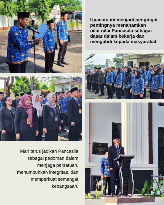 WhatsApp Image 2025-10-02 at 2-57-47 PM (2)